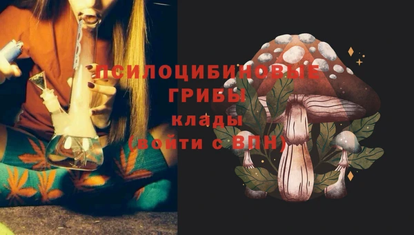 эйфоретик Алексин