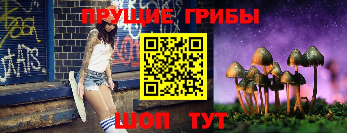 Псилоцибиновые грибы MAGIC MUSHROOMS Ишим